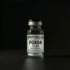 FOXO4.png FOXO4