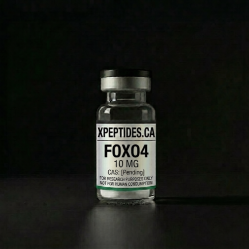 FOXO4