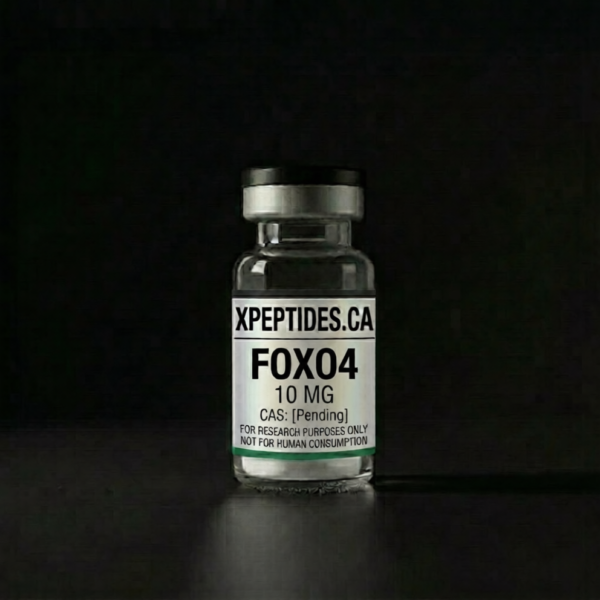 FOXO4.png FOXO4