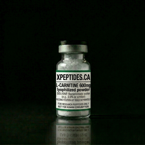 L-carnitine-600mg.png L-carnitine 600mg