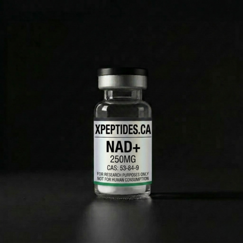NAD.png NAD+